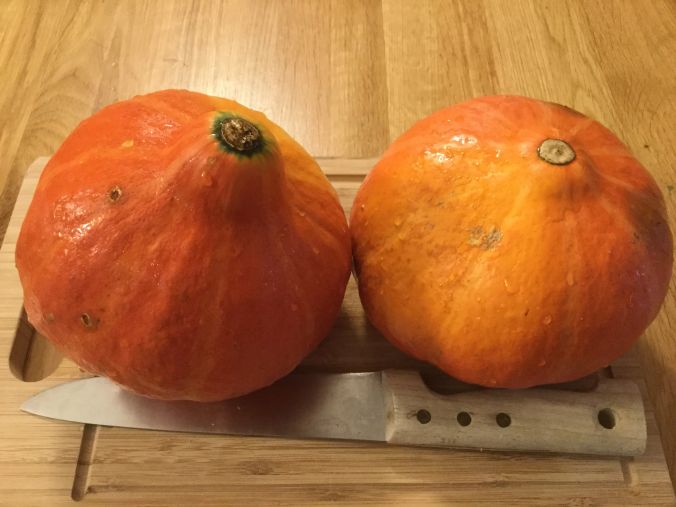 Les bonnes soupes de l'hiver avec les potimarrons du jardin.